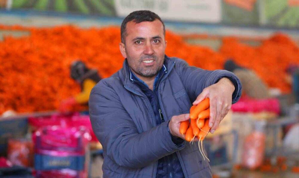 Havuç diyarı Konya'da elle söküm başladı!