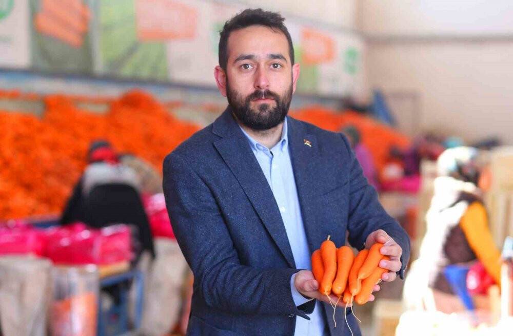 Havuç diyarı Konya'da elle söküm başladı!