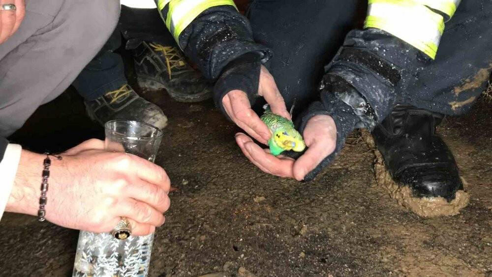 Alev alev yanan evlerini gözyaşları içinde çaresizlikle izlediler