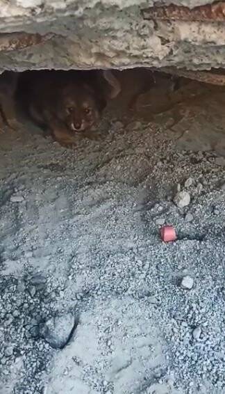 Yıkılan beton blokların arasından kurtarıldılar