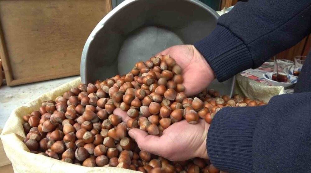 TMO’nun o fiyata fındık satışına tepki