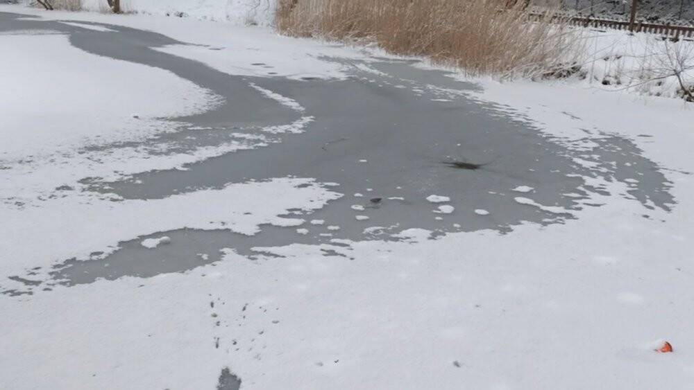 Bolu’nun incisi buz tuttu