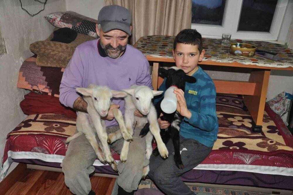 Donmasınlar diye evde bakıyorlar