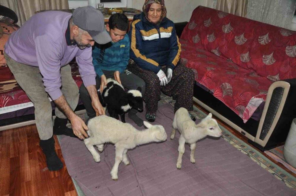 Donmasınlar diye evde bakıyorlar