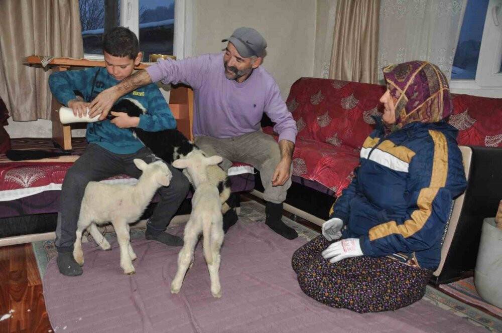 Donmasınlar diye evde bakıyorlar
