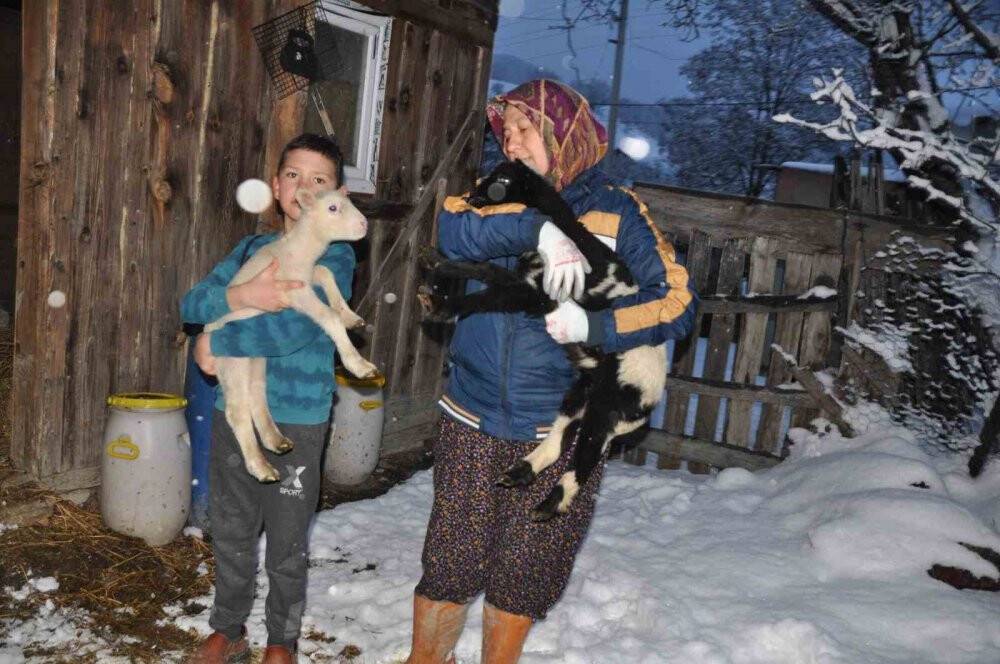 Donmasınlar diye evde bakıyorlar