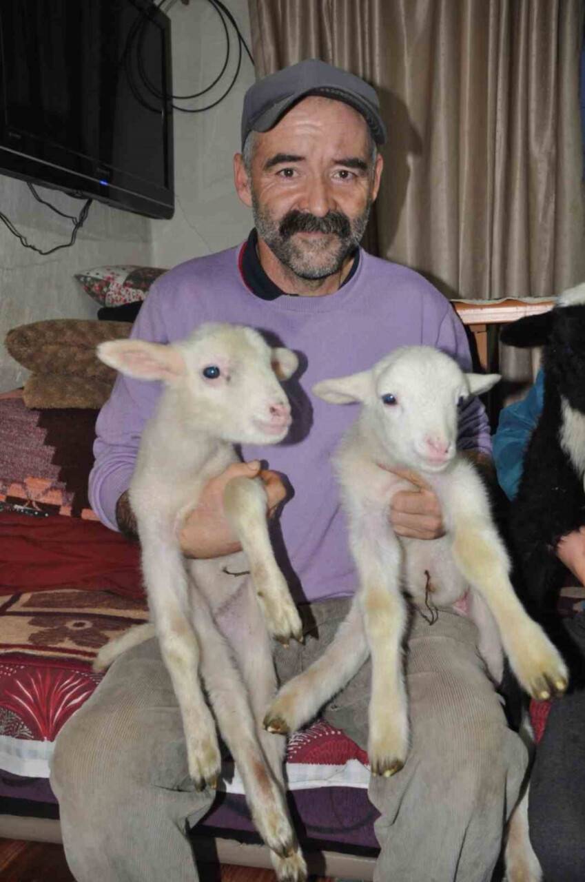 Donmasınlar diye evde bakıyorlar