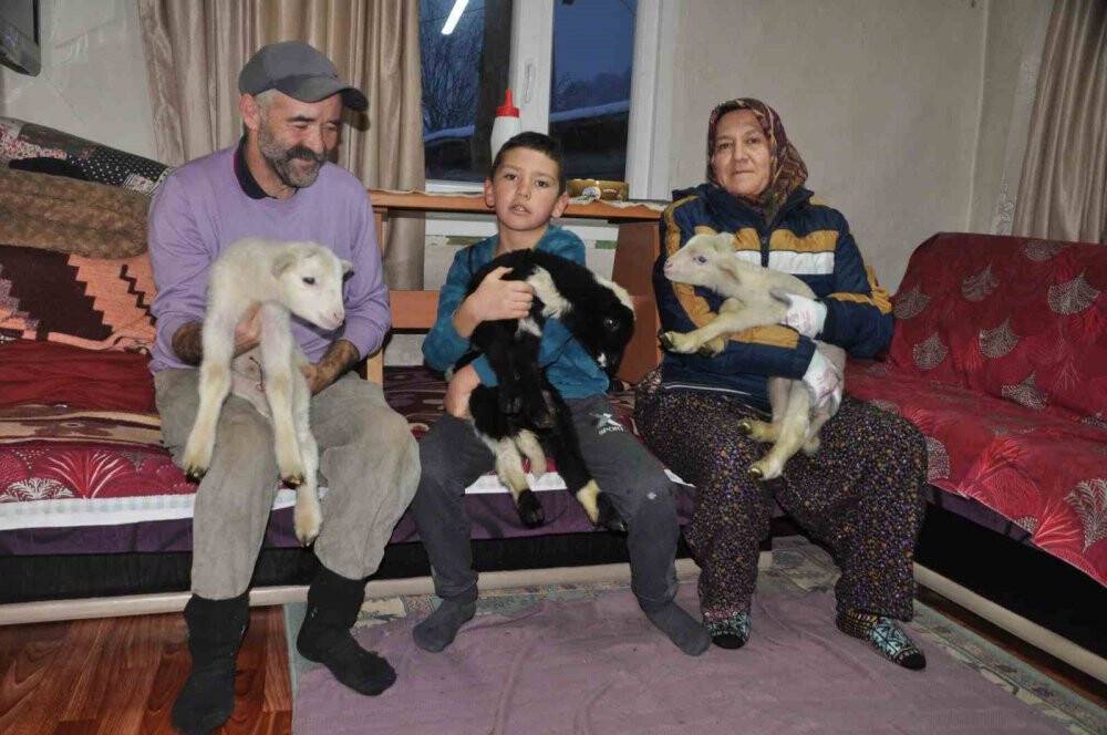 Donmasınlar diye evde bakıyorlar