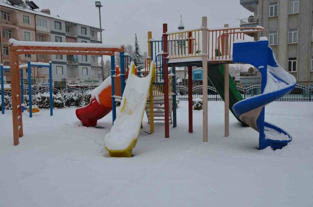 Kar, Karaman'ı beyaza bürüdü