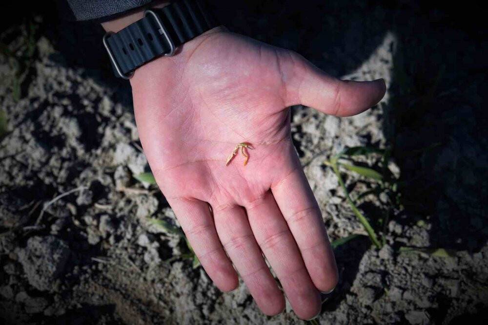 Yağan kar Konyalı çiftçiyi umutlandırdı