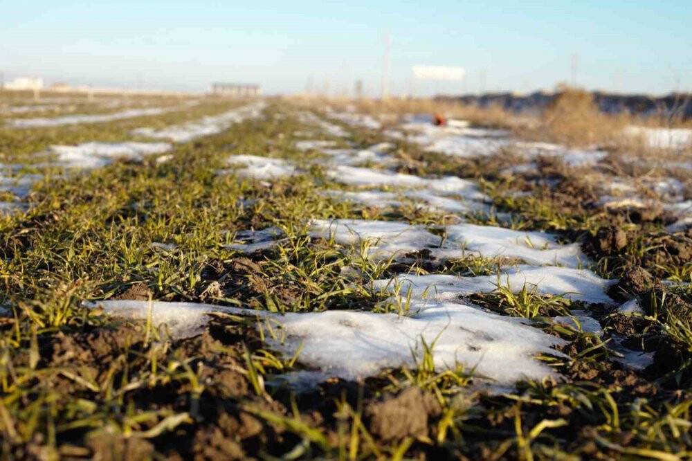 Yağan kar Konyalı çiftçiyi umutlandırdı