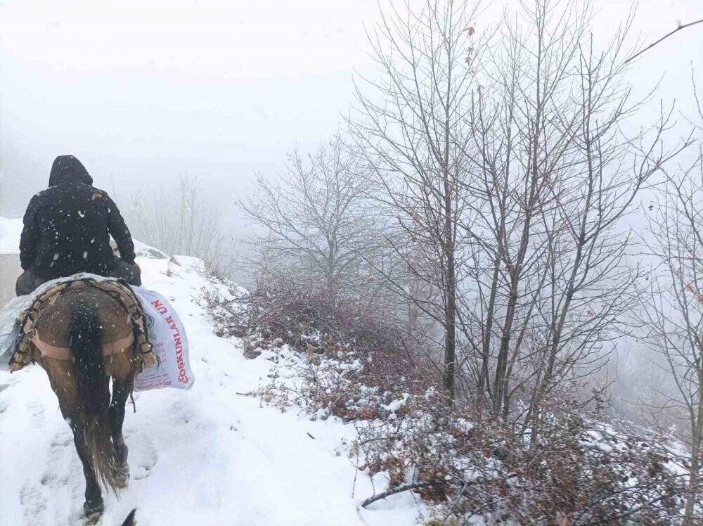 Depremzedelere katır sırtında yardım taşıyorlar
