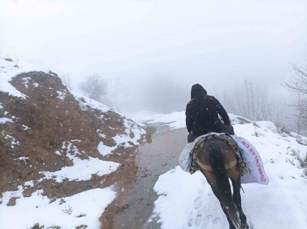 Depremzedelere katır sırtında yardım taşıyorlar