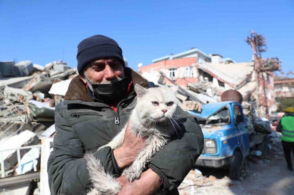 Depremde kaybolan kedisine 5 gün sonra kavuştu