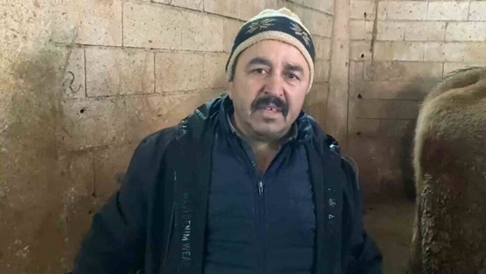 15 gün erken doğan buzağılara "Deprem '' ismini verdi