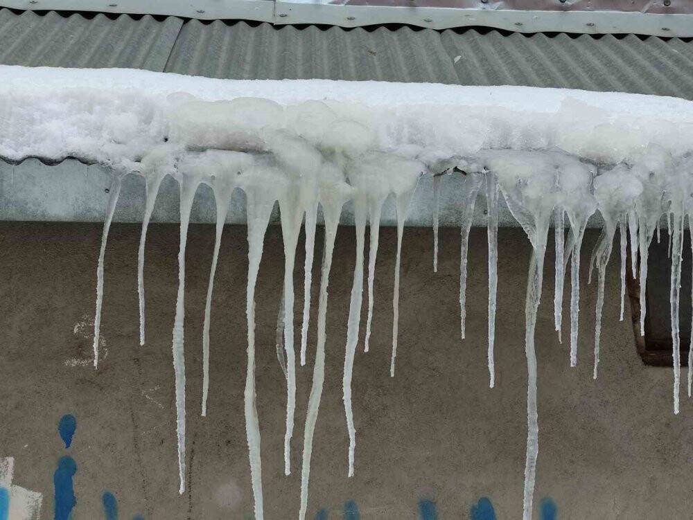 Ardahan'da dondurucu soğuklar nedeniyle araçlar çalışmadı