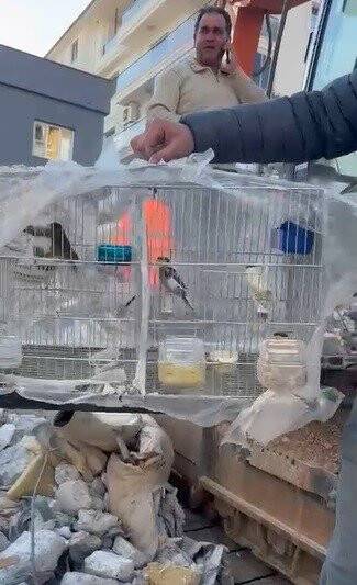 Enkaz altından 6 kafes kanarya çıkardılar