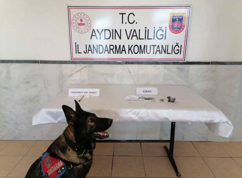 Yolcu otobüsünde uyuşturucu ile yakalandılar