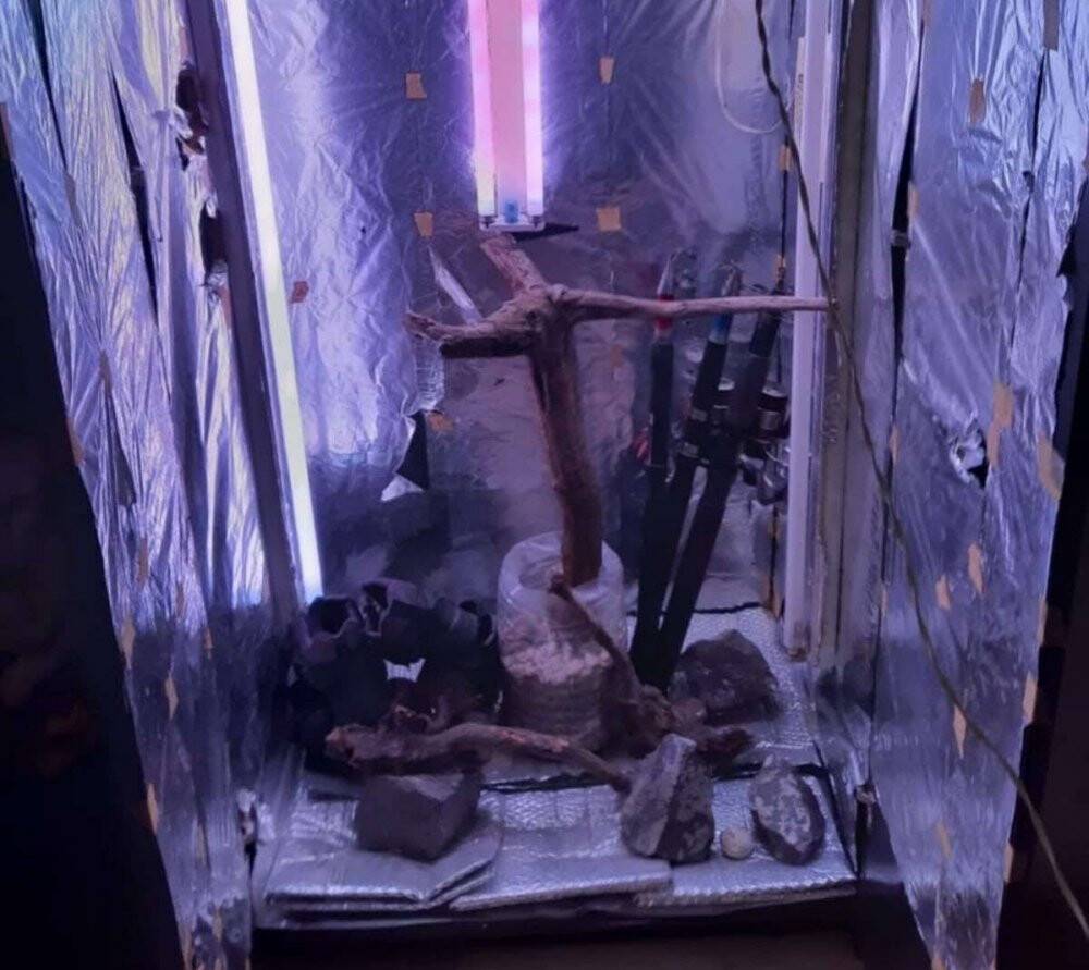 Zehir tacirlerine operasyon: Çok sayıda ele geçirildi