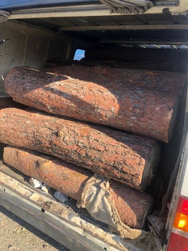 Ormanlık alandan aldığı ağaç parçalarını taşırken yakalandı