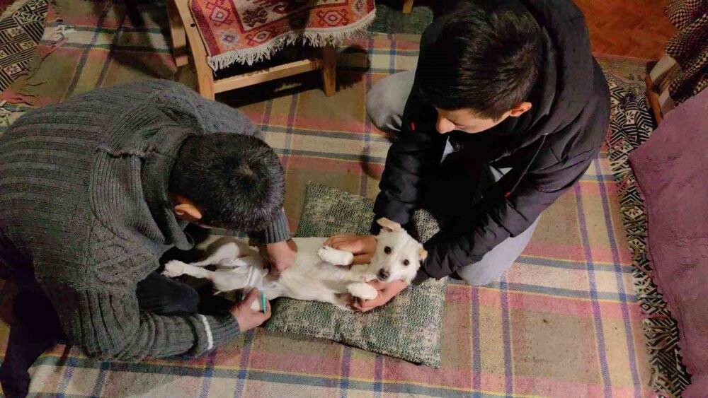 Engelli köpeği yaptığı düzenekle hayata bağladı