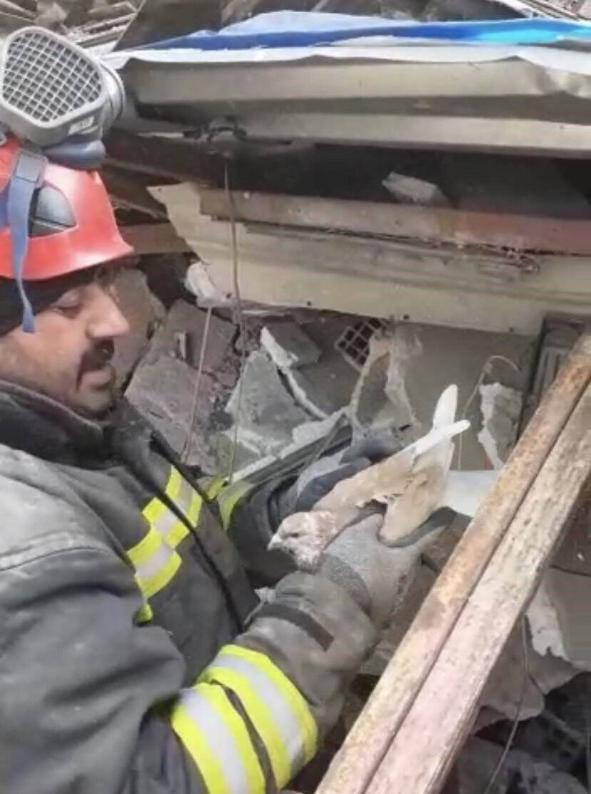 Konya Büyükşehir Belediyesinin kahraman itfaiyecileri hayatlarını riske atıp güvercinleri kurtardı