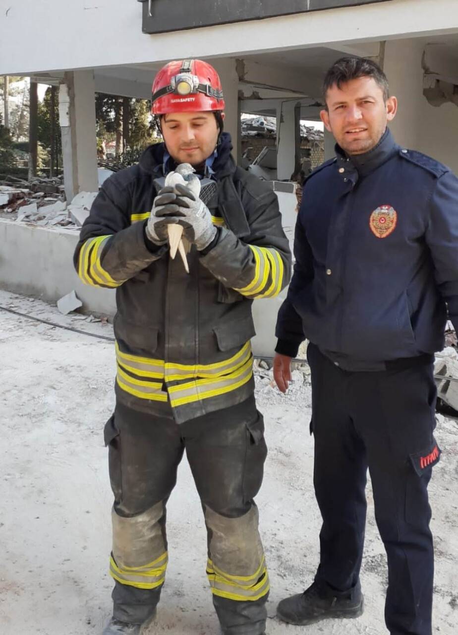 Konya Büyükşehir Belediyesinin kahraman itfaiyecileri hayatlarını riske atıp güvercinleri kurtardı