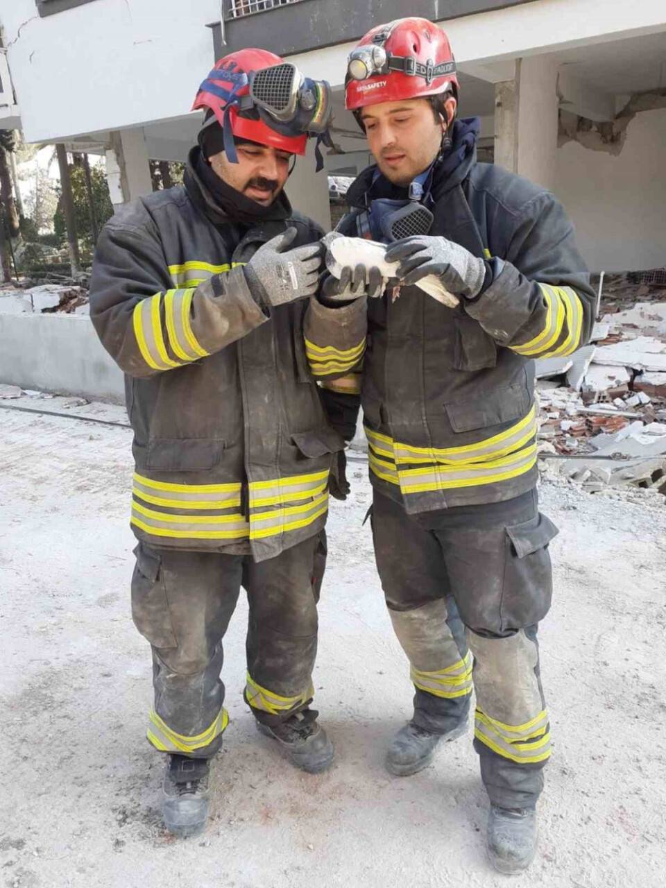 Konya Büyükşehir Belediyesinin kahraman itfaiyecileri hayatlarını riske atıp güvercinleri kurtardı