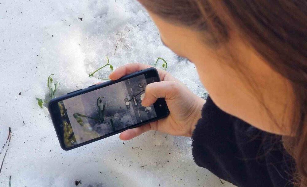 Bu çiçeği koparmanın cezası 244 bin 315 TL