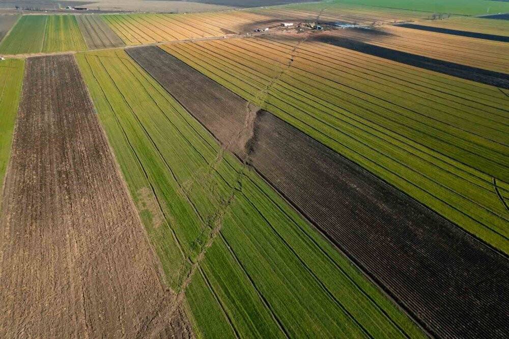 Kahramanmaraş’ta fay tarlaları ikiye böldü