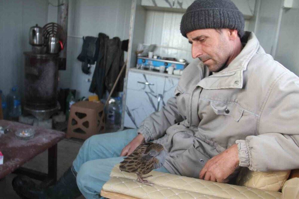 Çulluk kuşuna balıkçılar sahip çıktı