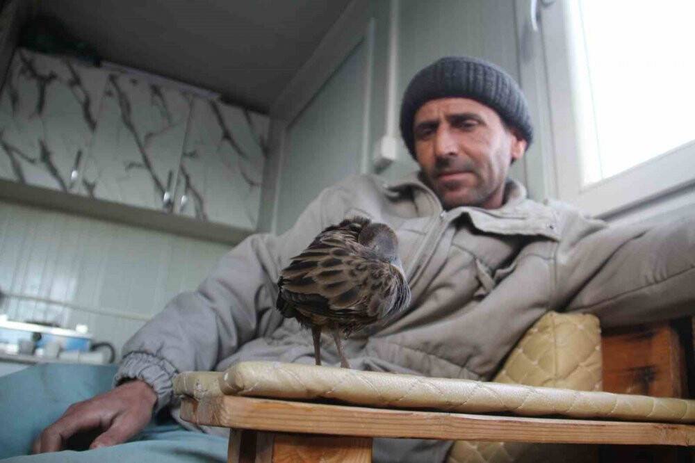 Çulluk kuşuna balıkçılar sahip çıktı