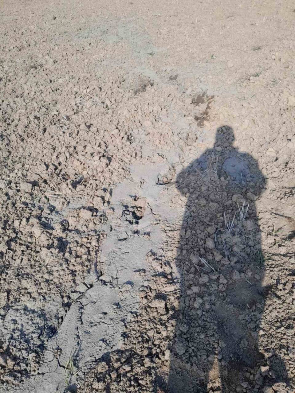 Elazığ’ı tedirgin eden görüntü: Metrelerce uzunluğunda görülmüştü