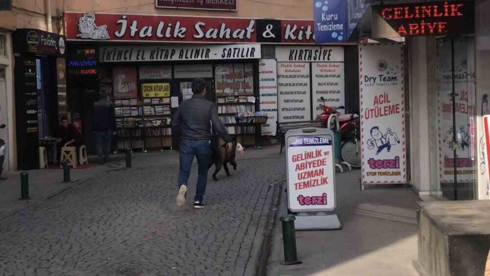Sokak köpeği oyuncak çaldı