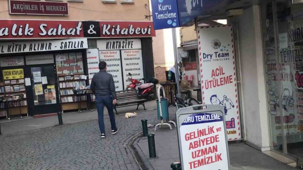 Sokak köpeği oyuncak çaldı