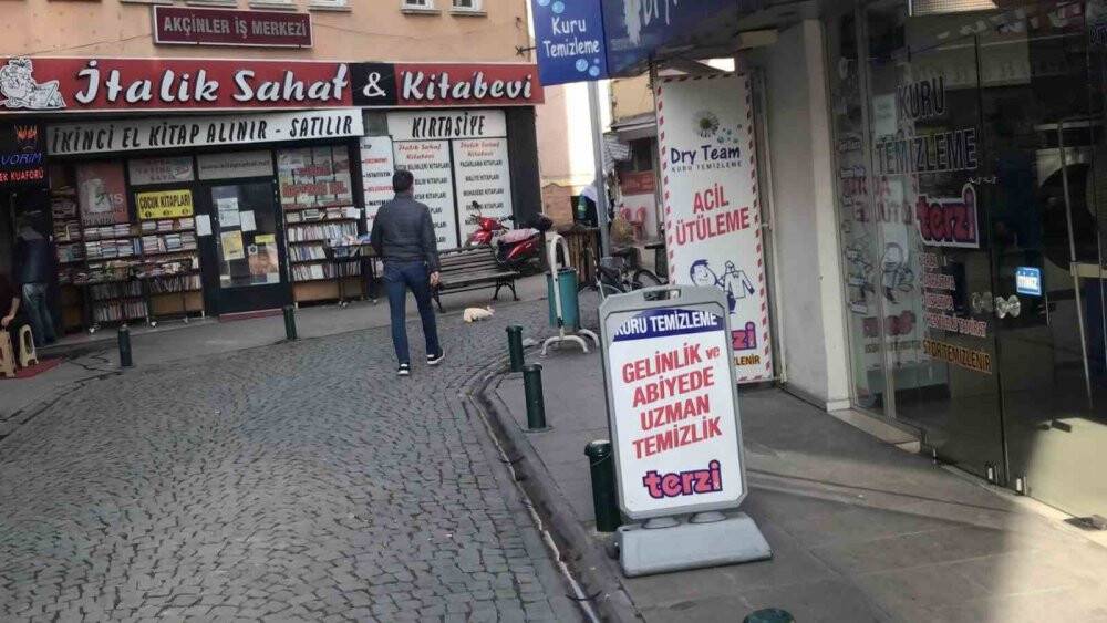 Sokak köpeği oyuncak çaldı