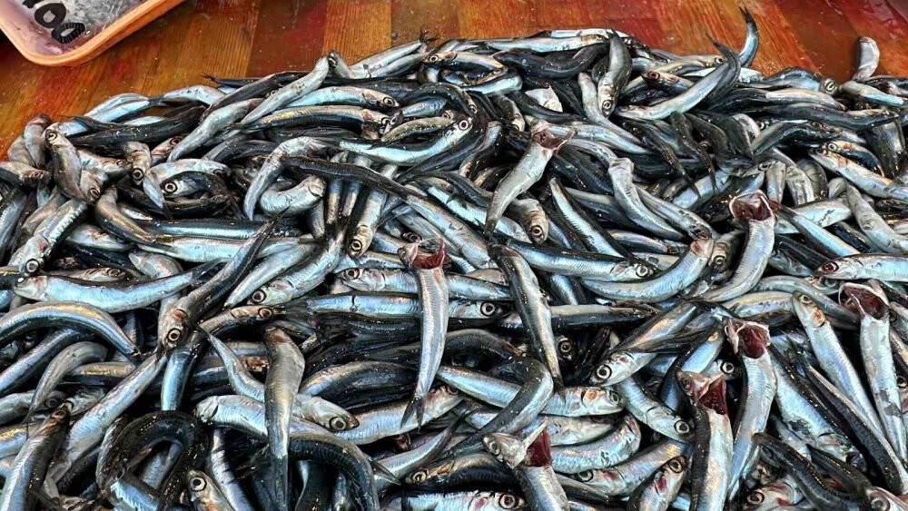 Havalar ısındı, fiyatları düştü