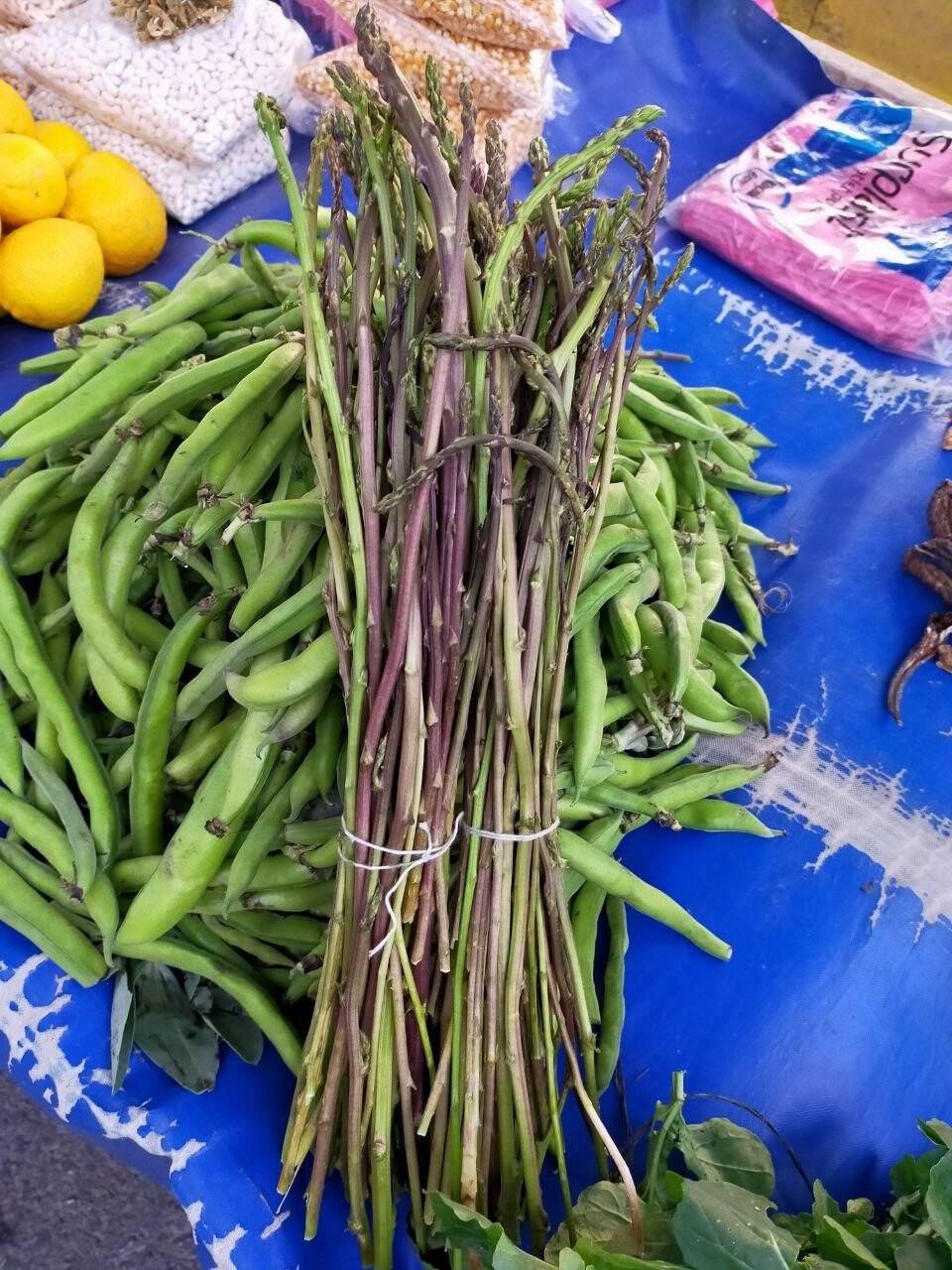 Kedirgenler pazara çıktı