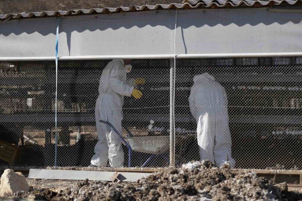 2 ilde kuş gribi alarmı