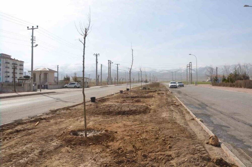 Ereğli’de park ve bahçelere gül fidanlarıya buluştu