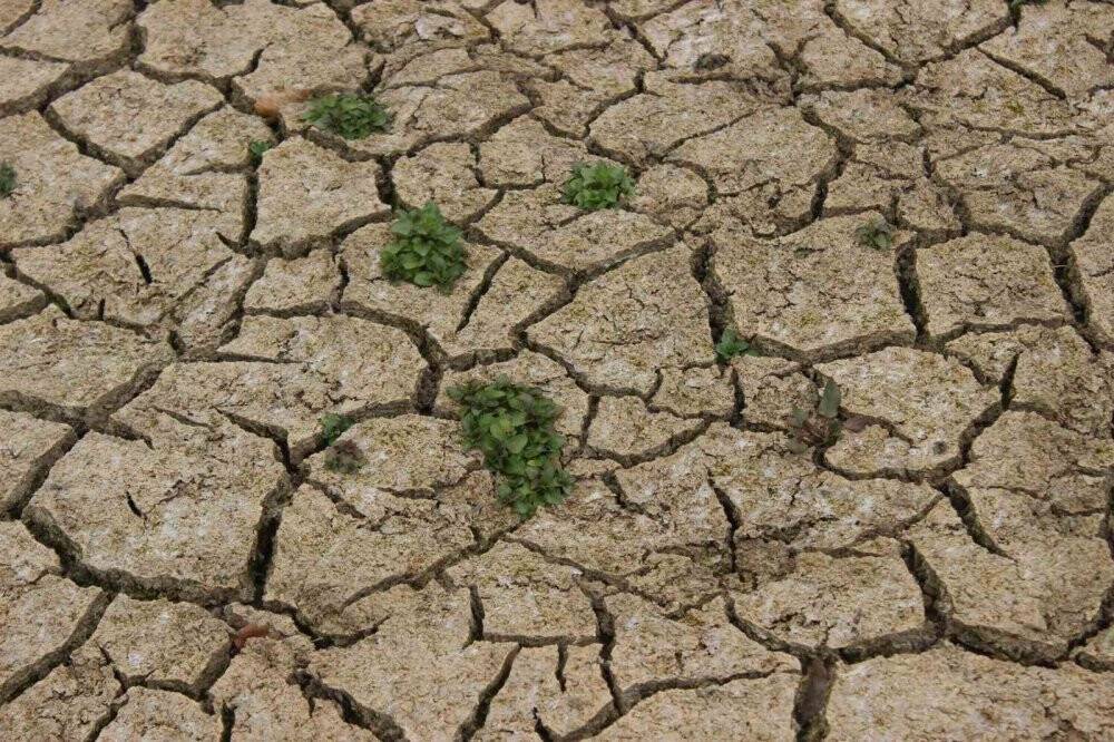 İstanbul’daki barajlarda alarm