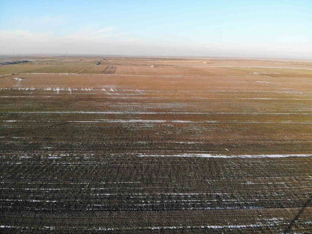 Konya'da yağış oranındaki düşüş rekolteye nasıl yansıyacak?