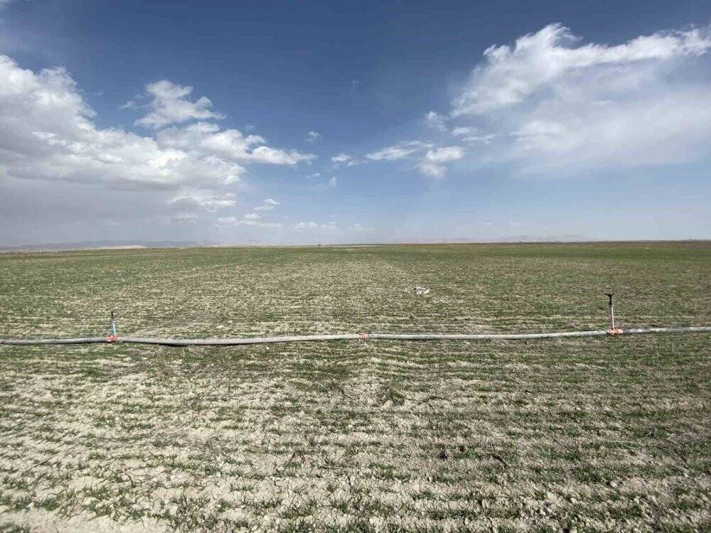 Konya'da yağış oranındaki düşüş rekolteye nasıl yansıyacak?