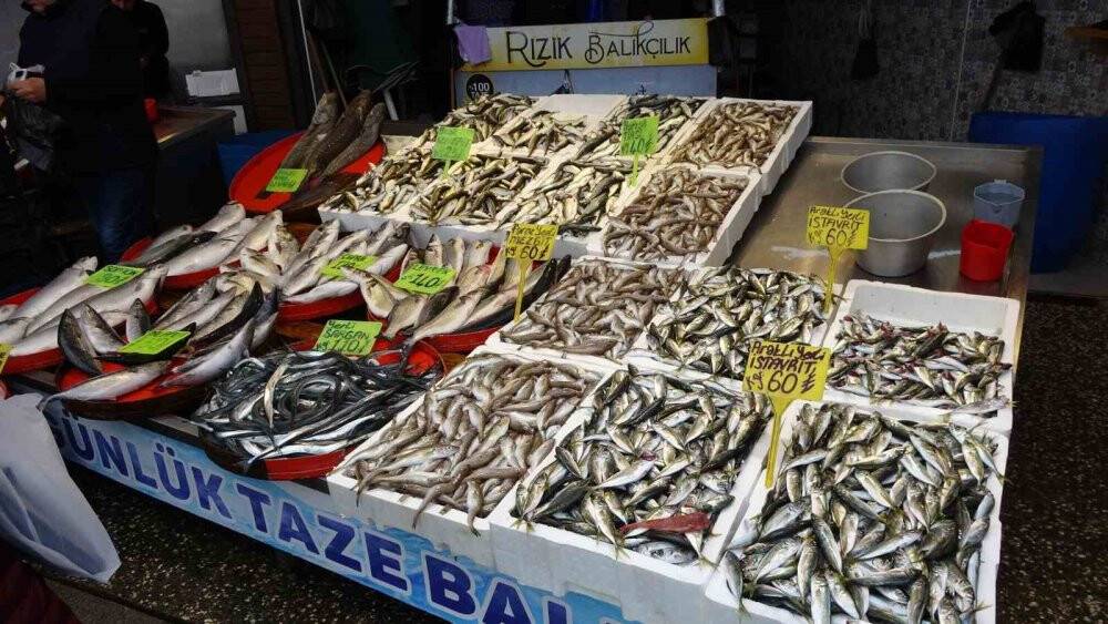 Hamsi sezonu kapattı, vatandaş istavrit ve mezgite yöneldi