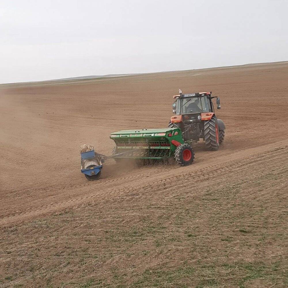 Kulu’da baklagil fideleri toprakla buluştu