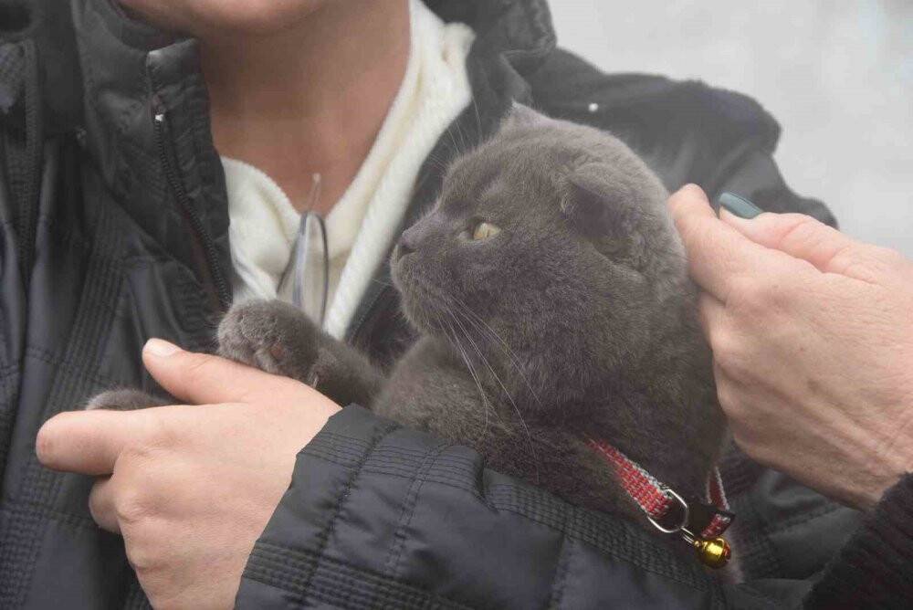 28 gün sonra kavuştular