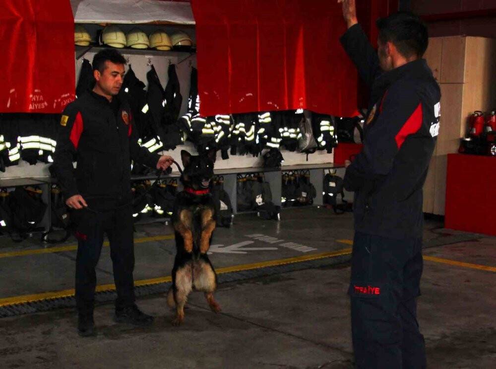 Konya İtfaiyesi'nin eğittiği arama kurtarma köpekleri 18 kişinin hayatına dokundu