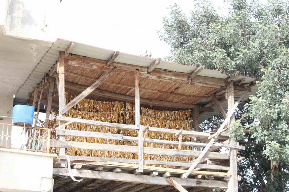 Geçim kaynakları oldu: 3 TL'ye 18'e satıyorlar