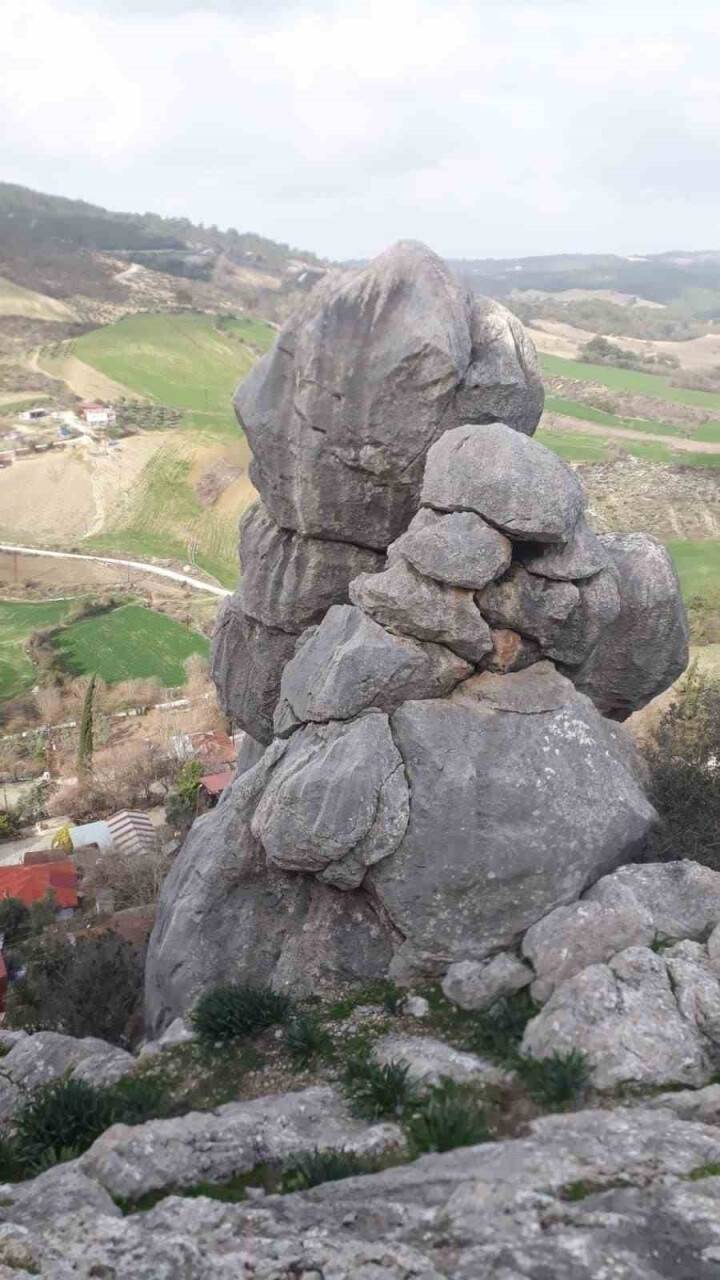 Bir mahallenin kabusu oldu