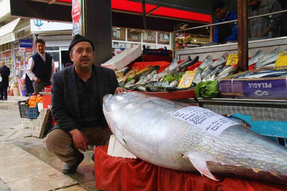 Tam 164 kilo! Görenler cep telefonlarına sarıldı